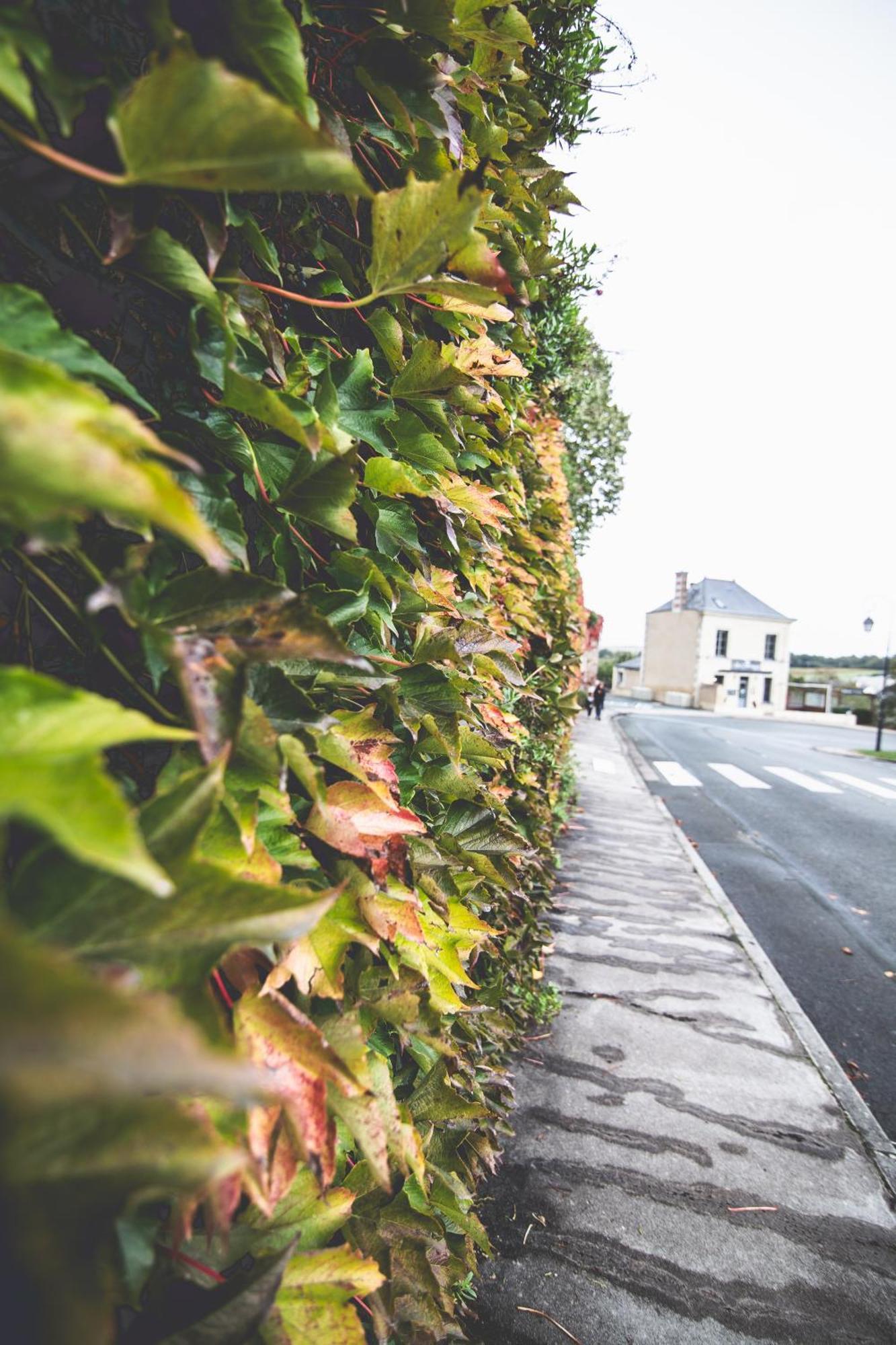 Le Regisseur Apartment Brissac-Quince Bagian luar foto