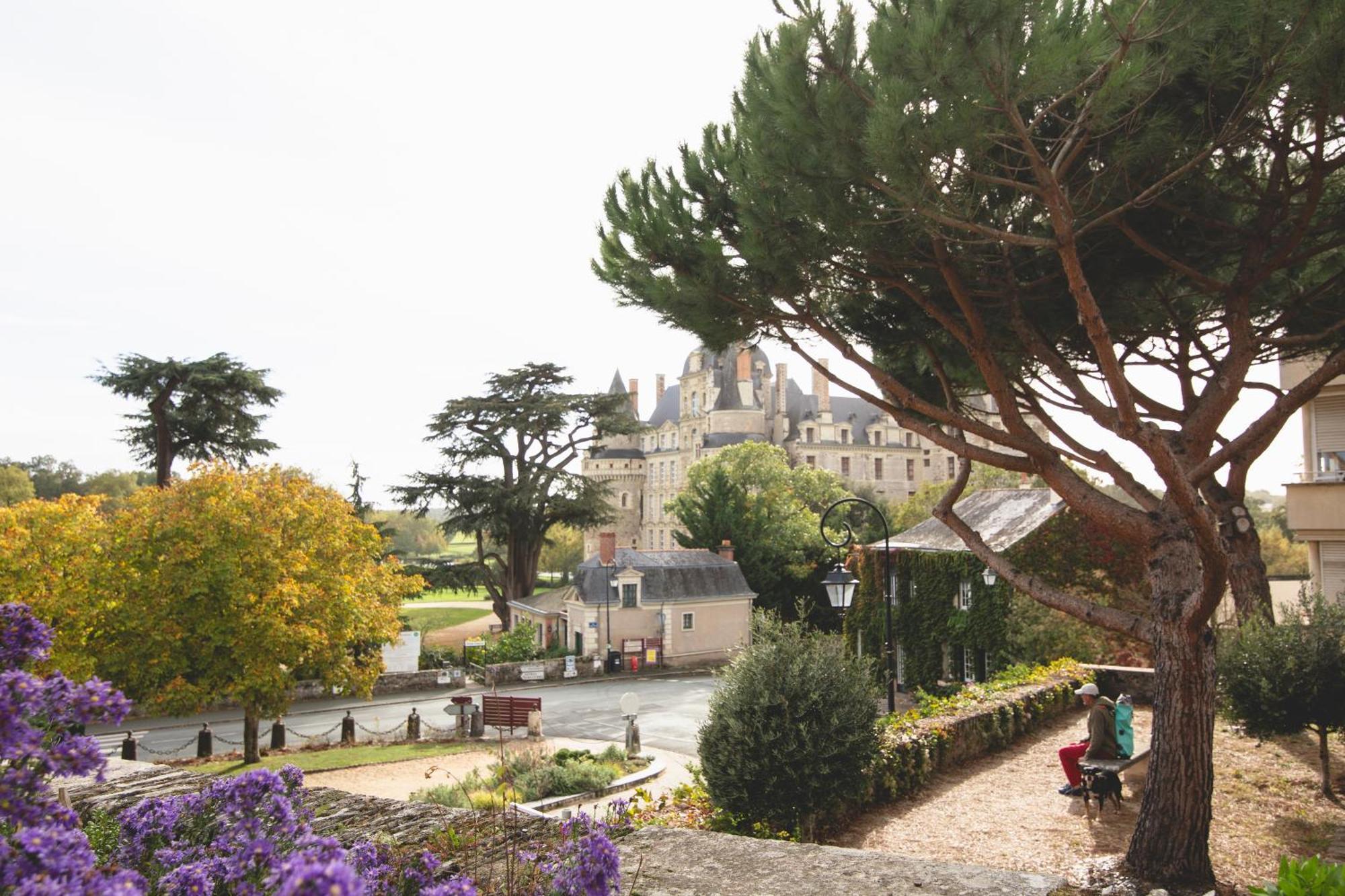 Le Regisseur Apartment Brissac-Quince Bagian luar foto